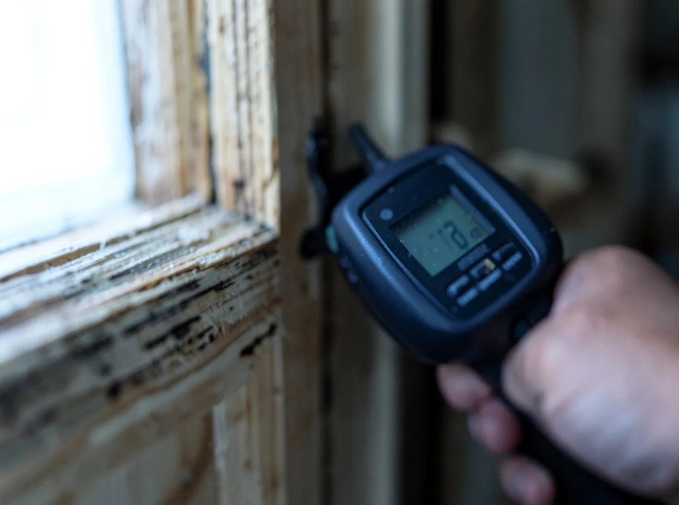 Commercial Water Damage Restoration in Laughlin, NV